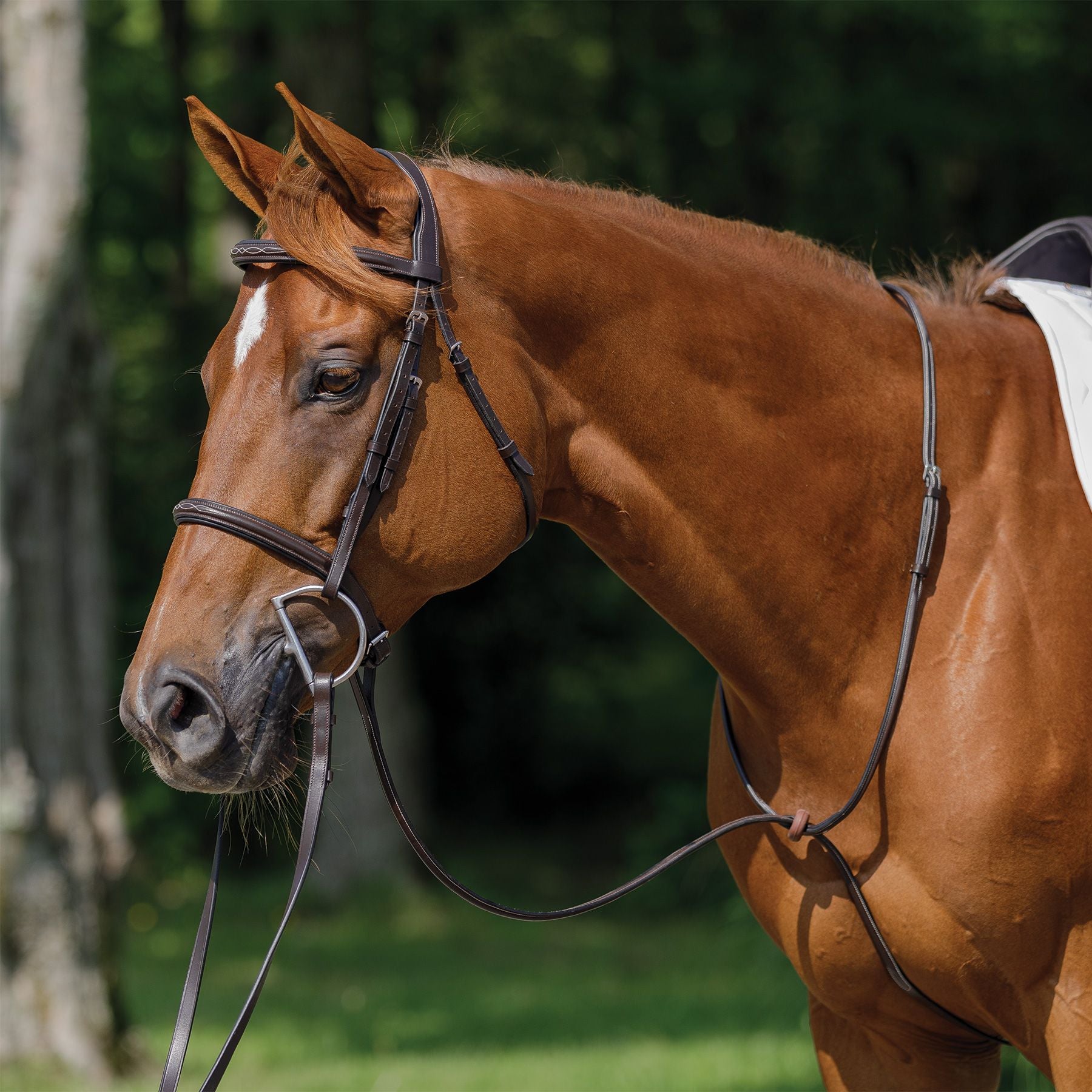 Schneiders® Raised Standing Martingale with Fancy Stitching