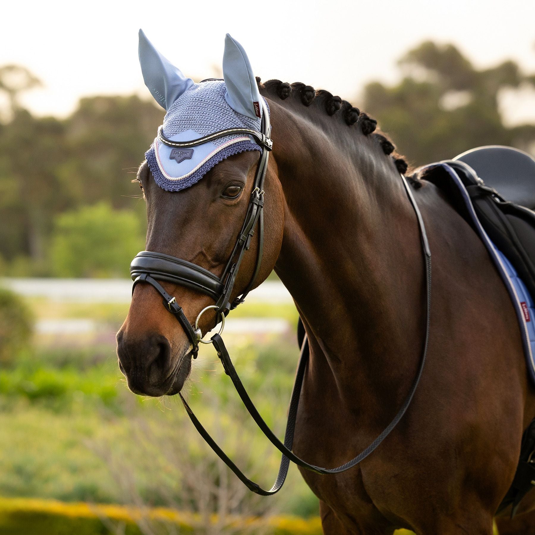 LeMieux® Loire Fly Ear Bonnet