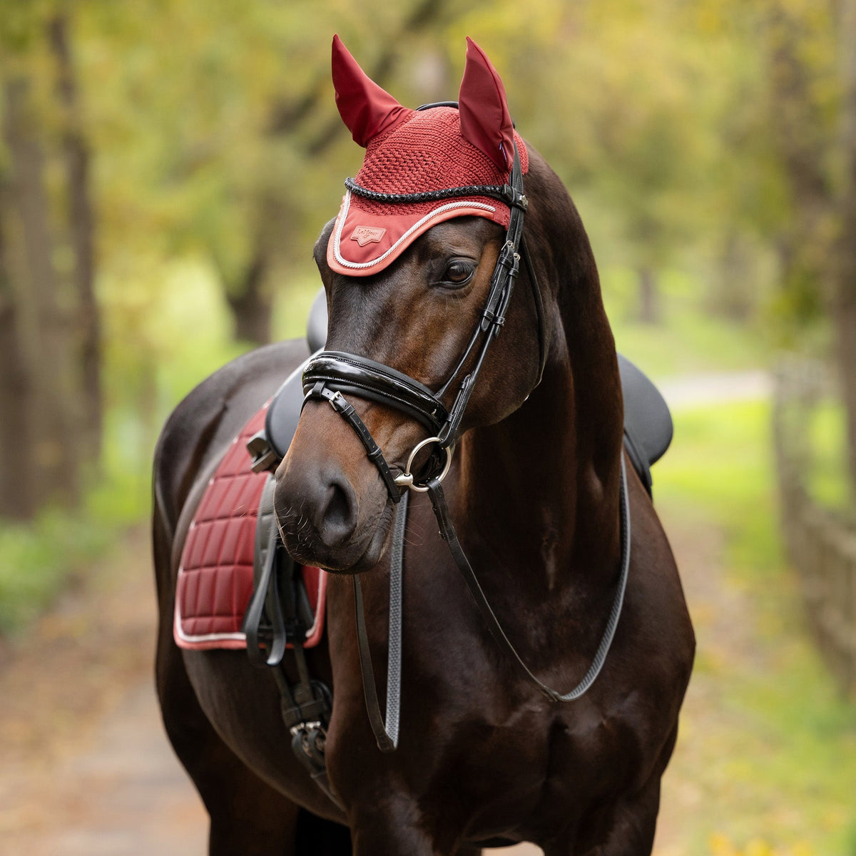 LeMieux® Loire Fly Ear Bonnet