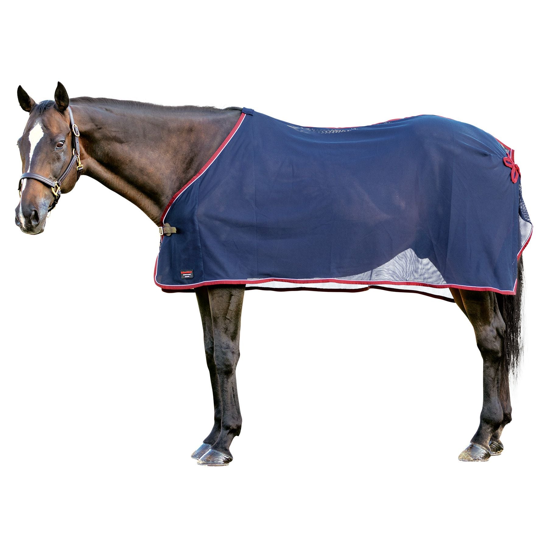 Schneiders® Award Horse Scrim Sheet