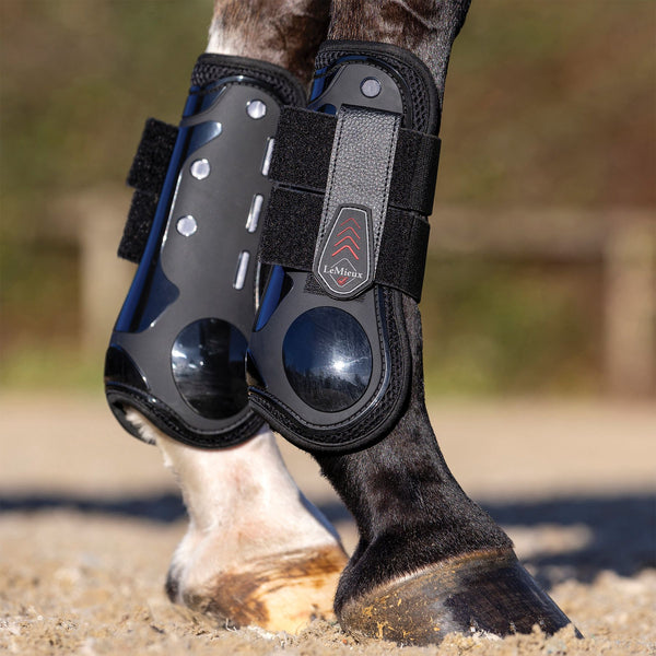 乗馬　LeMieux Derby  Tendon Boots  サイズL LeMieux® Derby ProJump Horse Tendon Boots