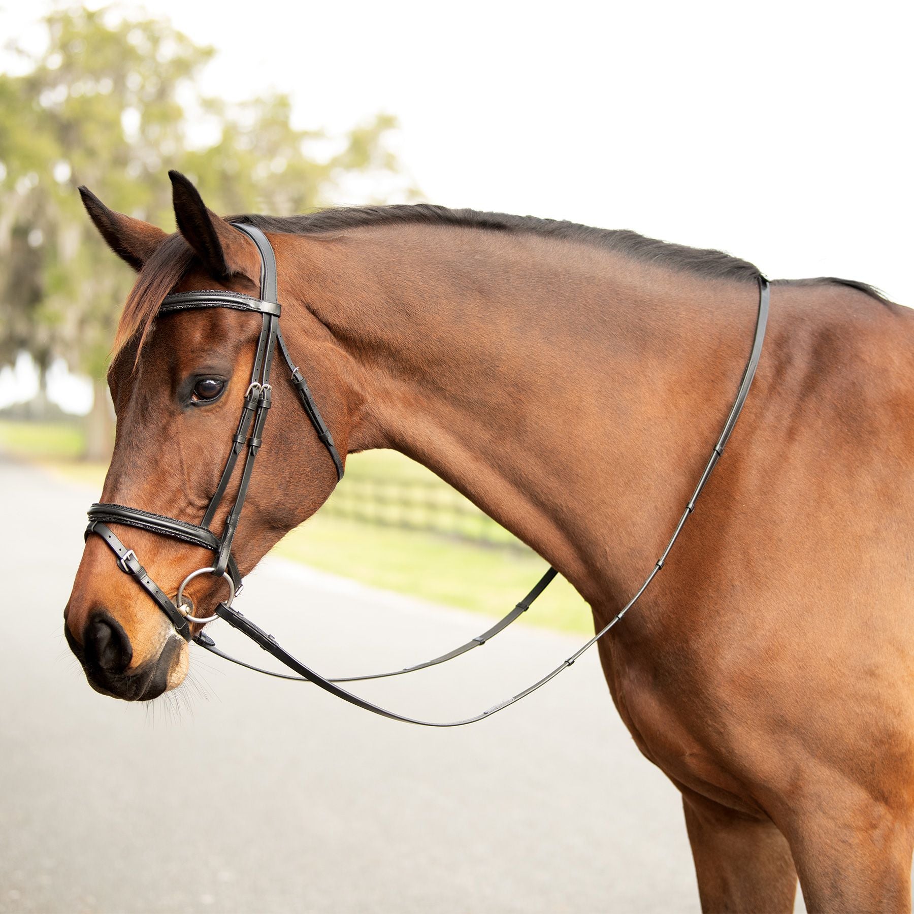 Schneiders® Black Crystal Trim Dressage Bridle