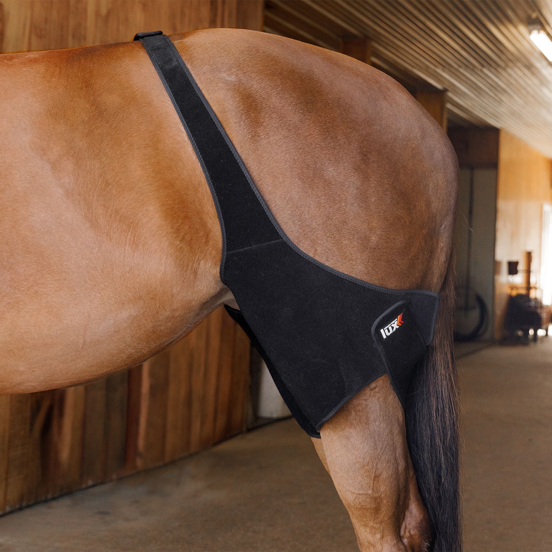 Schneiders® Lux Ceramic Therapy® Stifle Wraps