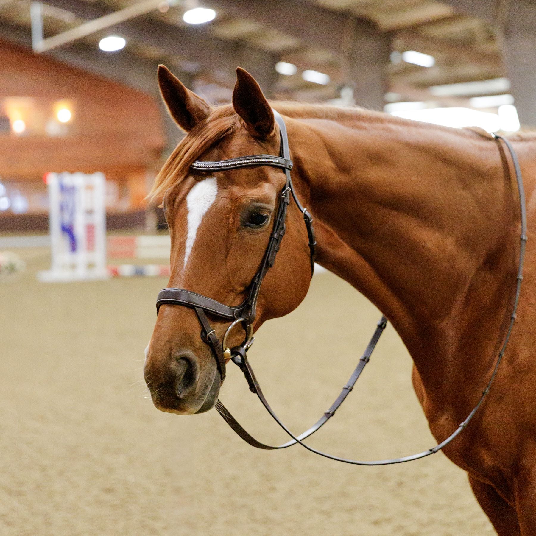 Schneiders® Ergonomic Flash English Bridle with Clear Crystal Browband