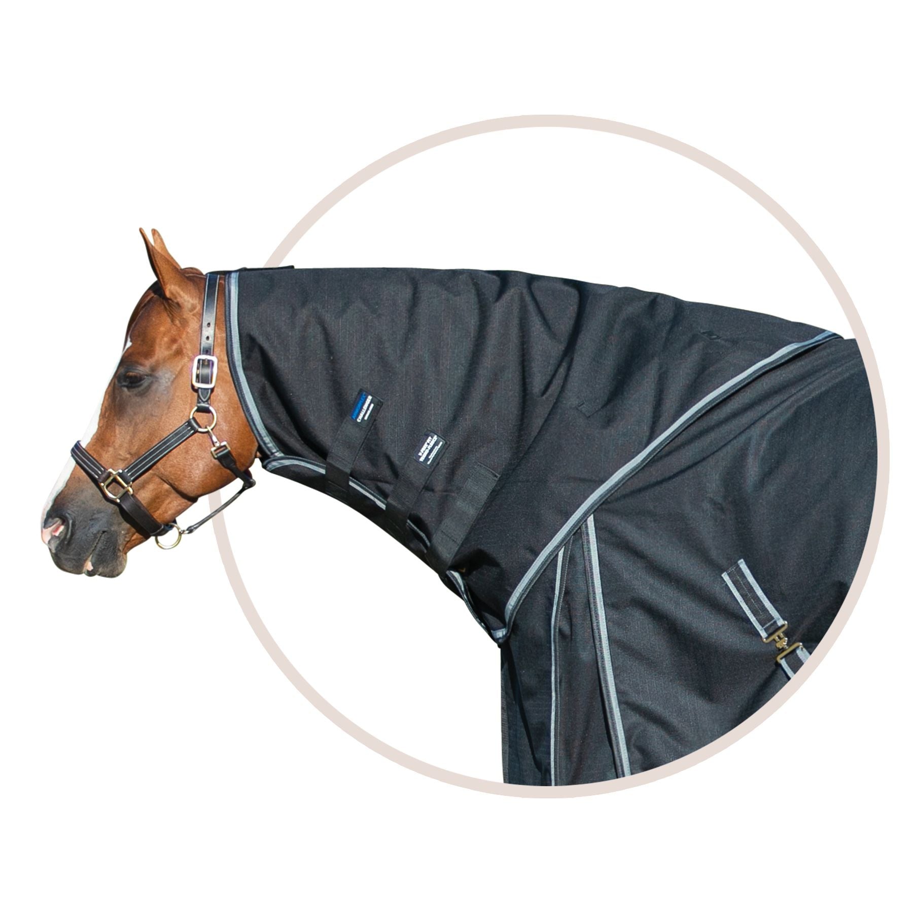 ARMORFlex® Challenger V-Free® Wither Relief Turnout Sheet Neck Cover