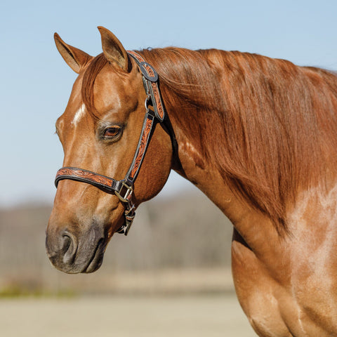 Schneiders® Tooled Leaf Padded Leather Ranch Halter