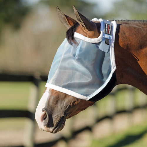 Without Ears fly mask
