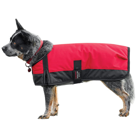 Schneiders® Insulated Waterproof Reflective Dog Coats II