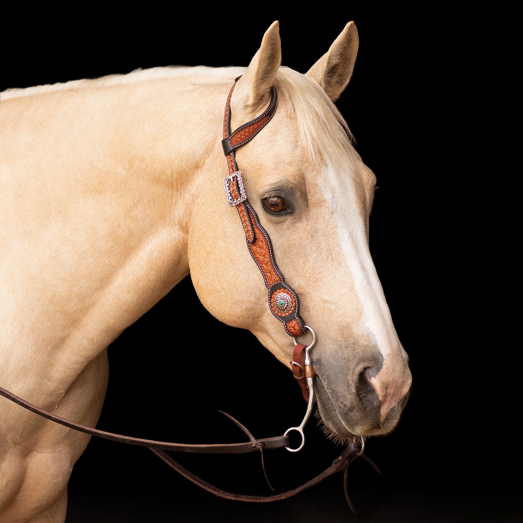 Schneiders® Ranch Turquoise Concho Two-Tone One Ear Headstall