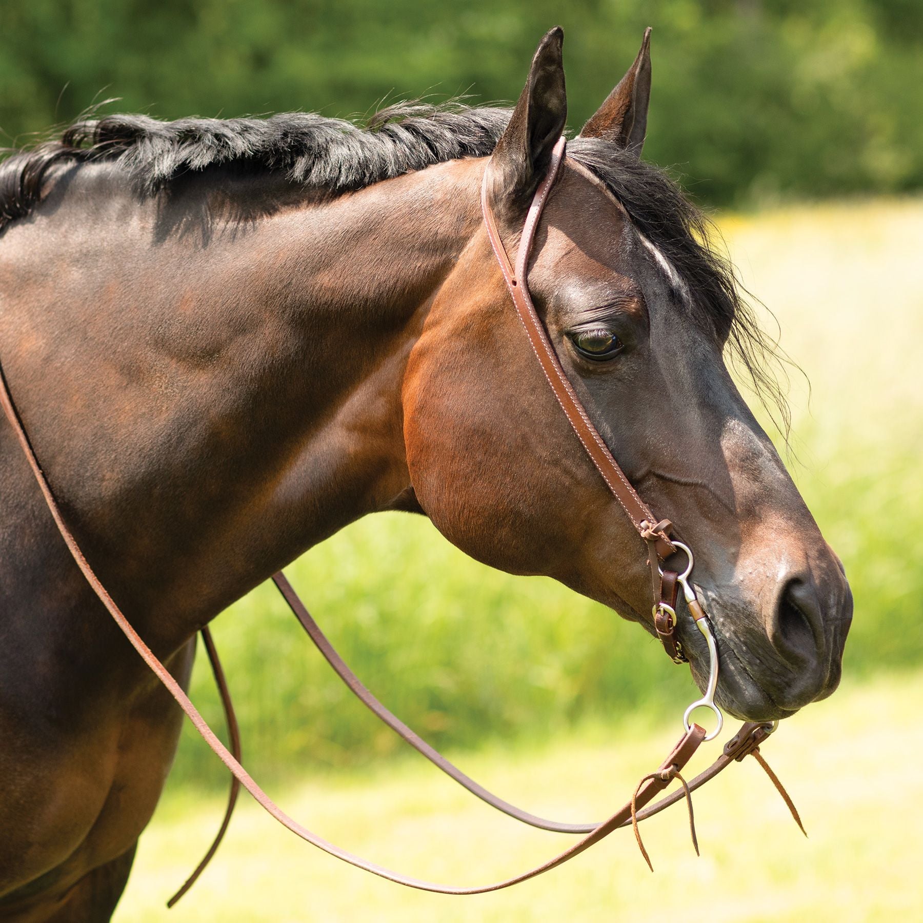 Billy Royal® Oiled Hermann Oak Split Ear Headstall with Floral Buckle