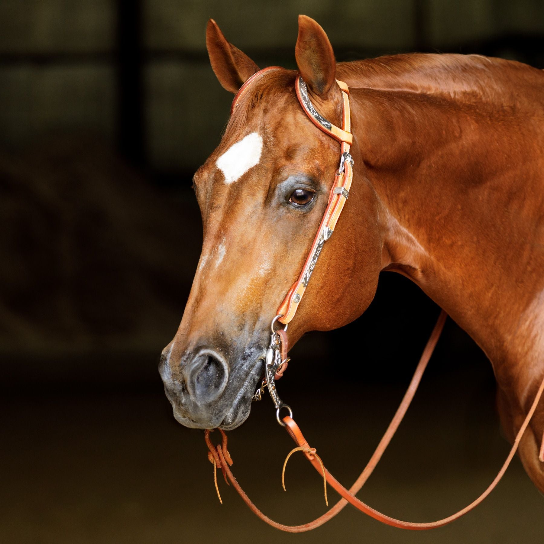 Schneiders® Two Ear Silver Plated Western Show Headstall