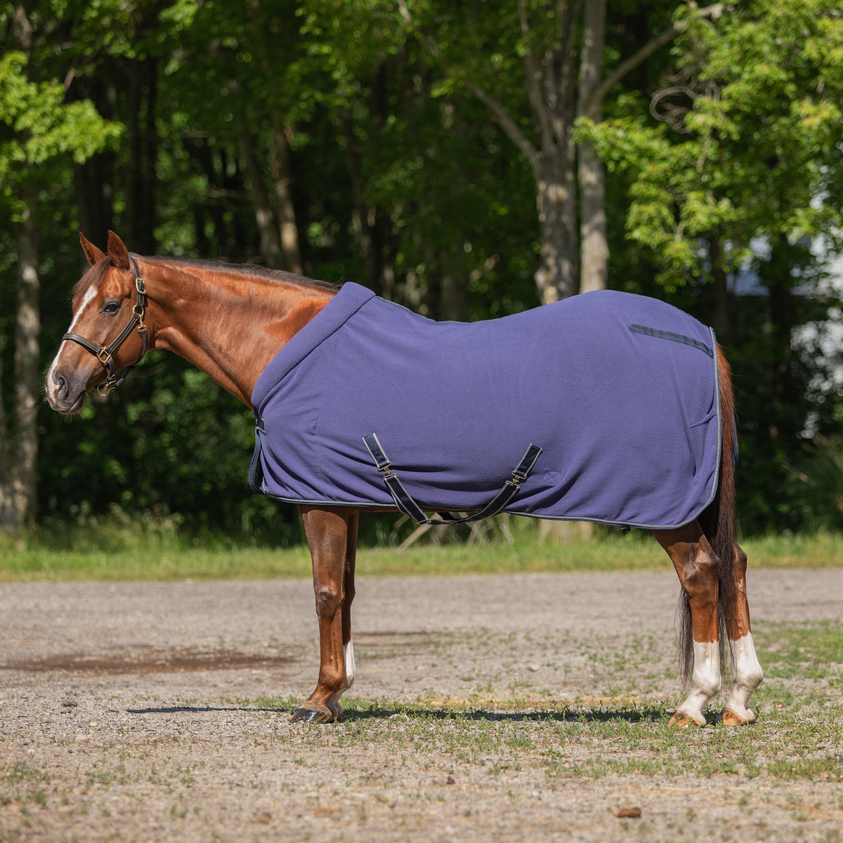 Schneiders® Plush Comfort Fleece Dress Sheet