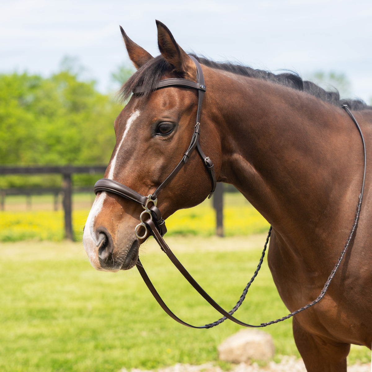 Schneiders® Ergonomic Leverage Hackamore English Headstall