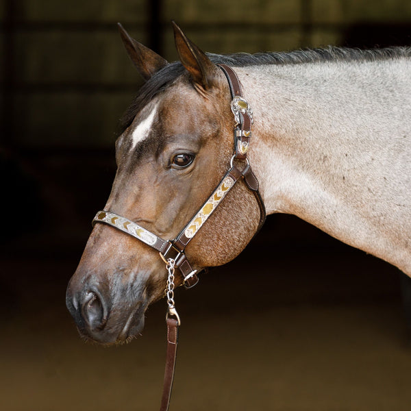 Schneiders® Phoenix II Silver Show Halter with Lead