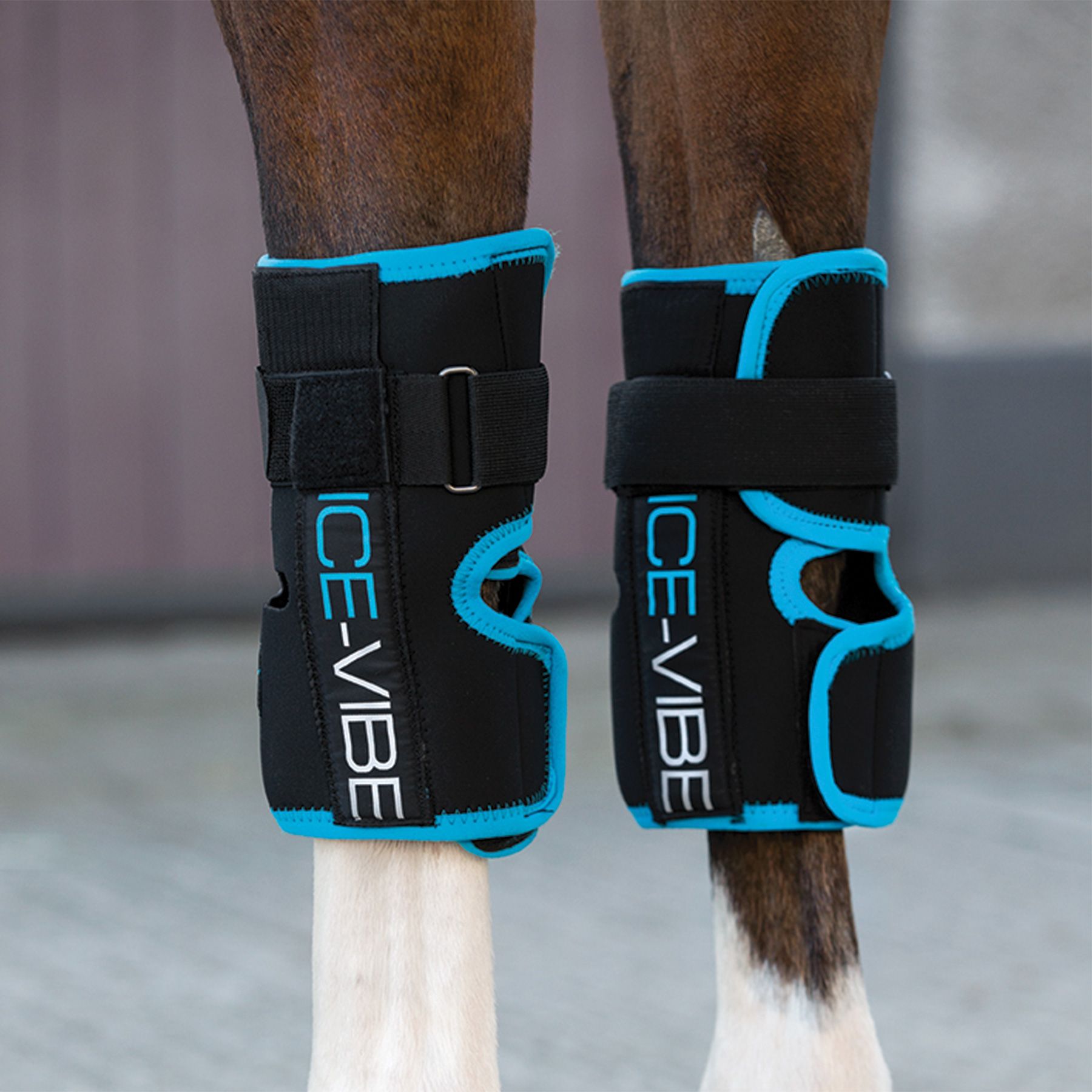 Horseware® Ice-Vibe® Knee Wraps