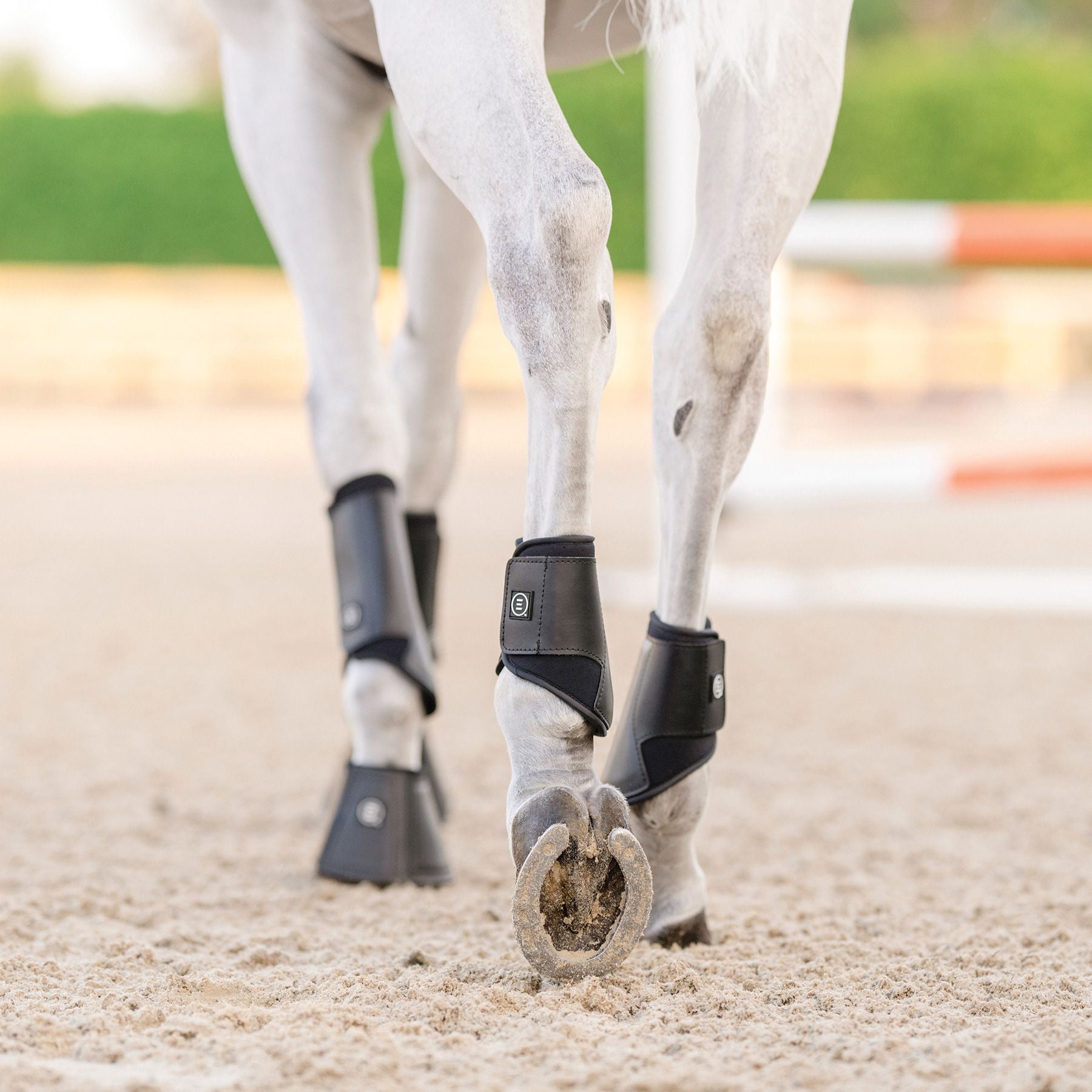 EquiFit® Essential® EveryDay™ Hind Fetlock Boot