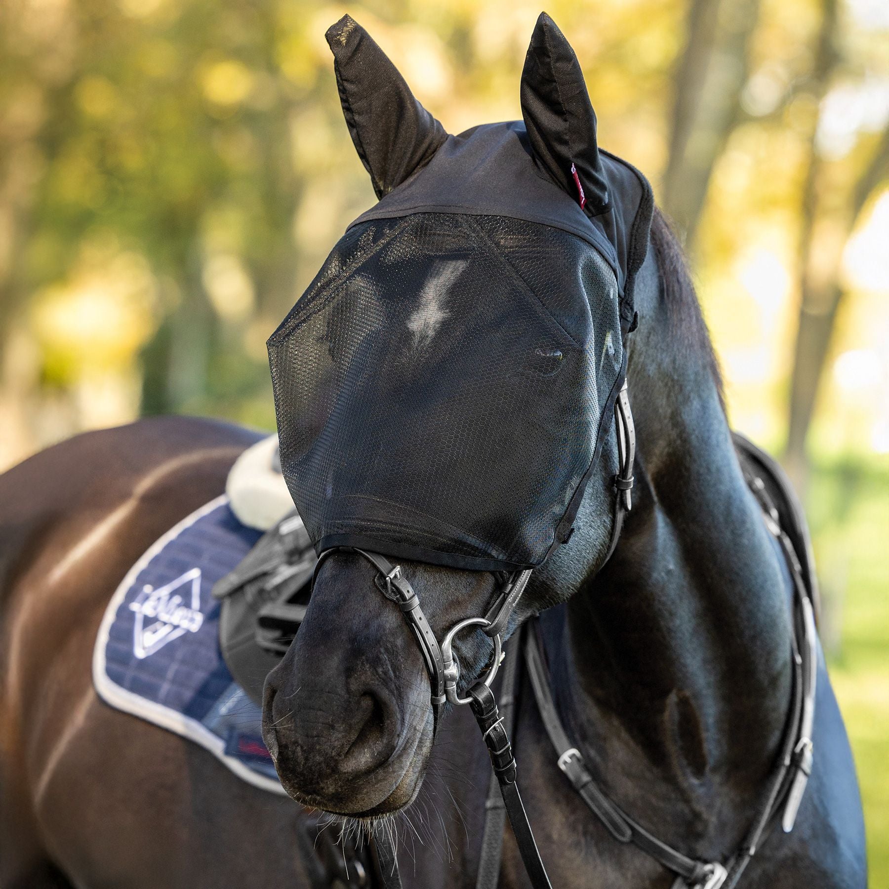 LeMieux® Ride On Fly Mask