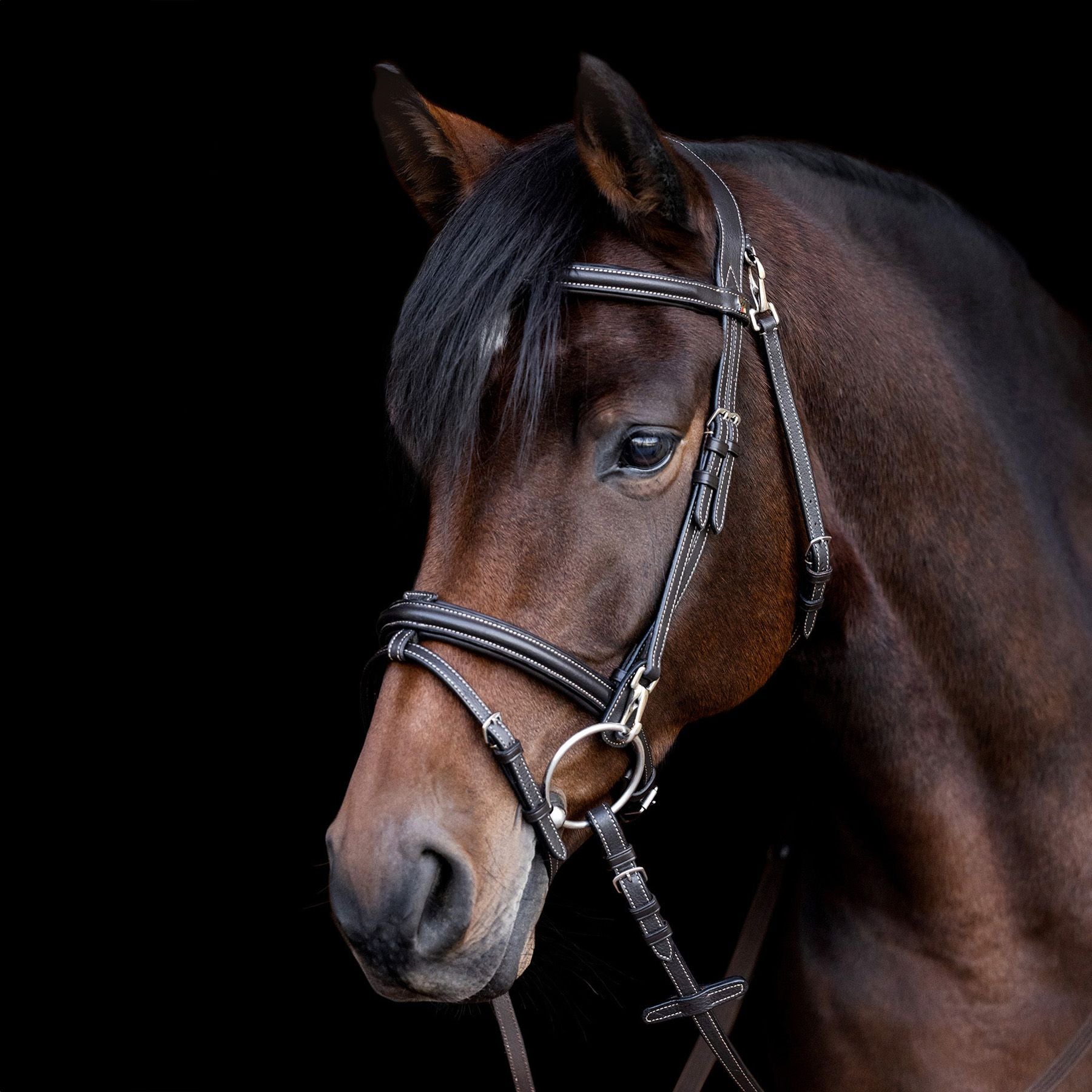 Waldhausen X-Line Bridle Work