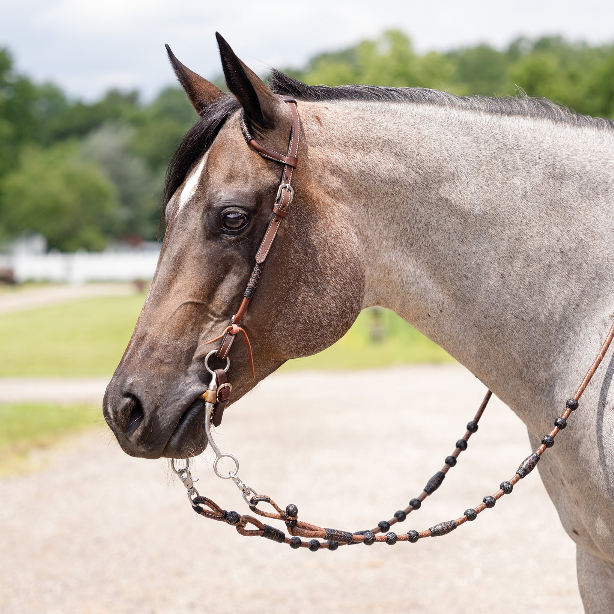 Schneiders® Black and Chocolate Rawhide Ranch Two Ear Headstall