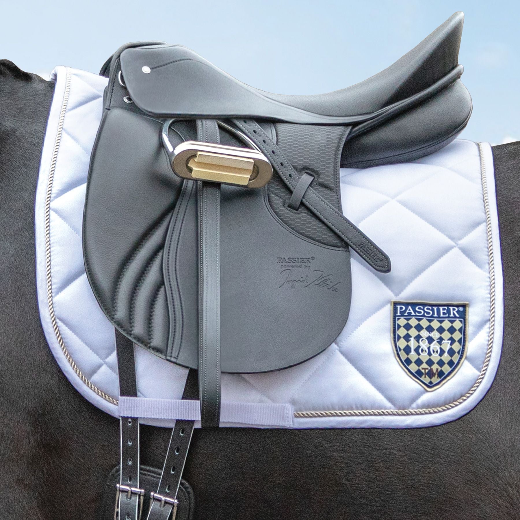 Passier® GG Extra Dressage Saddle by Ingrid Klimke