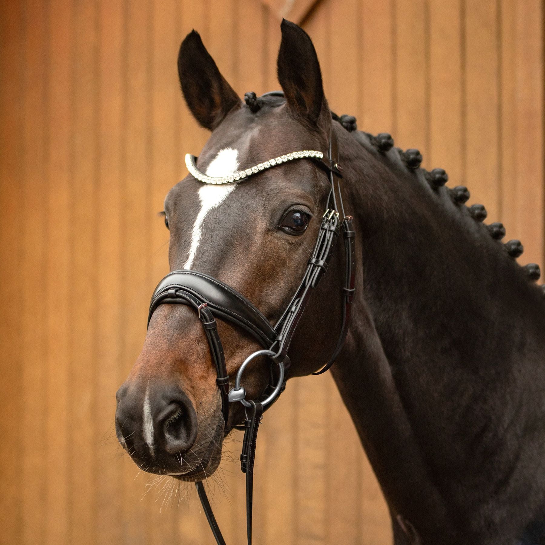 Passier® Favorite Snaffle Bridle by Ingrid Klimke with Stainless Steel Fittings