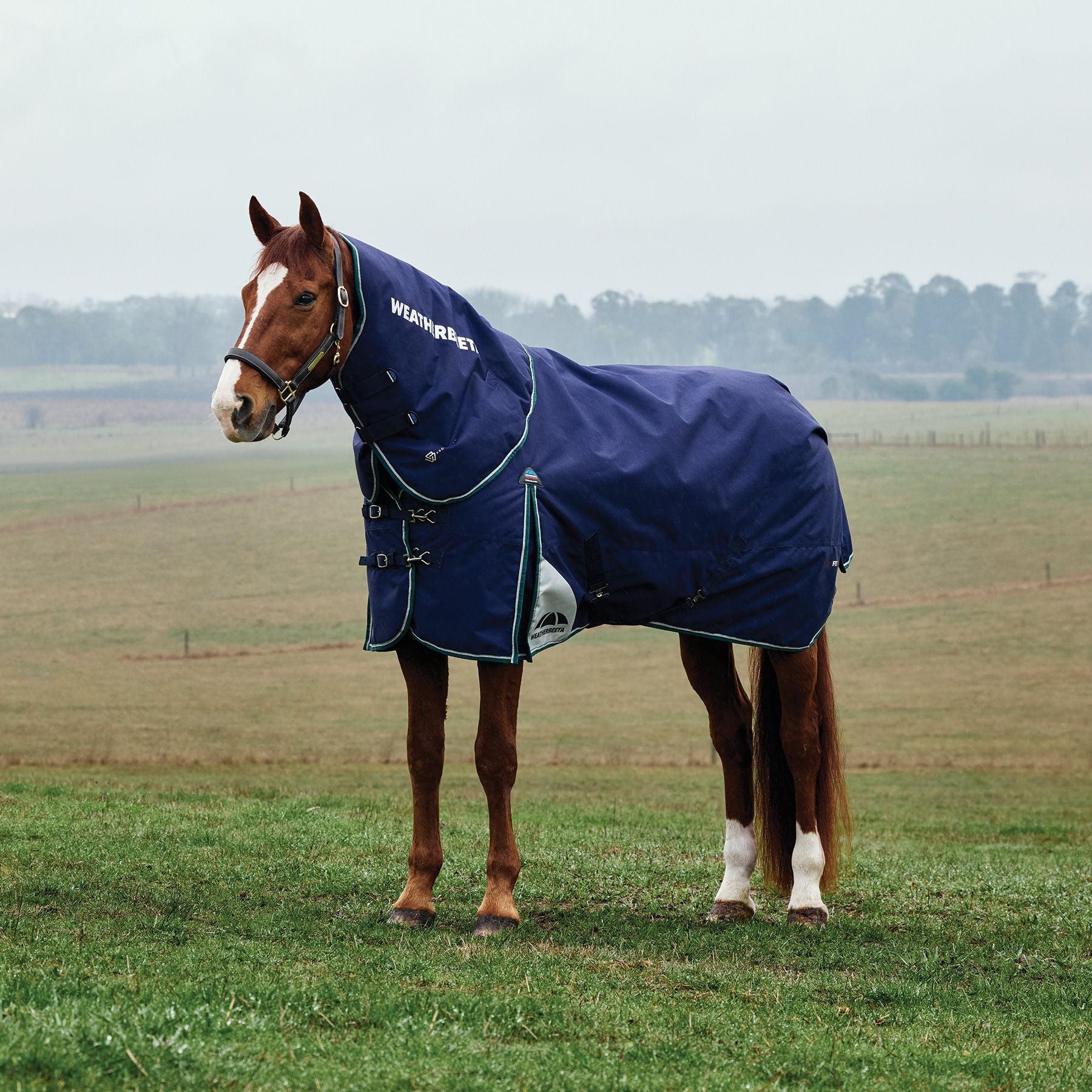 Weatherbeeta® ComFiTec® Plus Dynamic Detach-A-Neck 220G Medium Weight Turnout Blanket