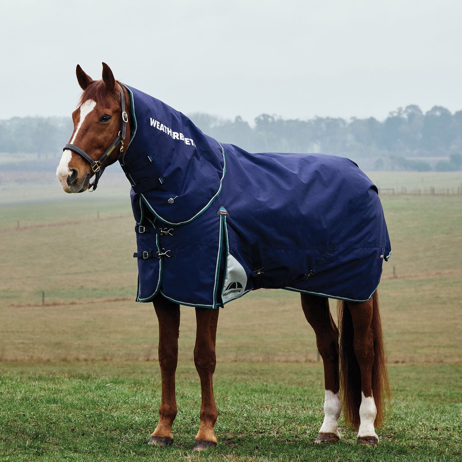 Weatherbeeta® ComFiTec® Plus Dynamic Detach-A-Neck 0G Turnout Sheet