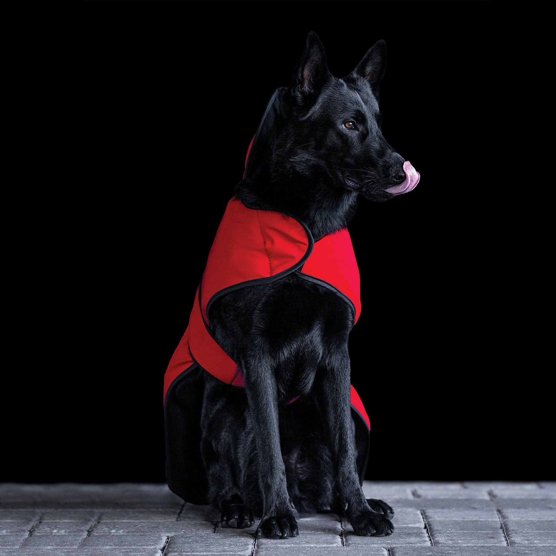 Sport Innovations MagMini Magnetic PEMF Dog Blankets