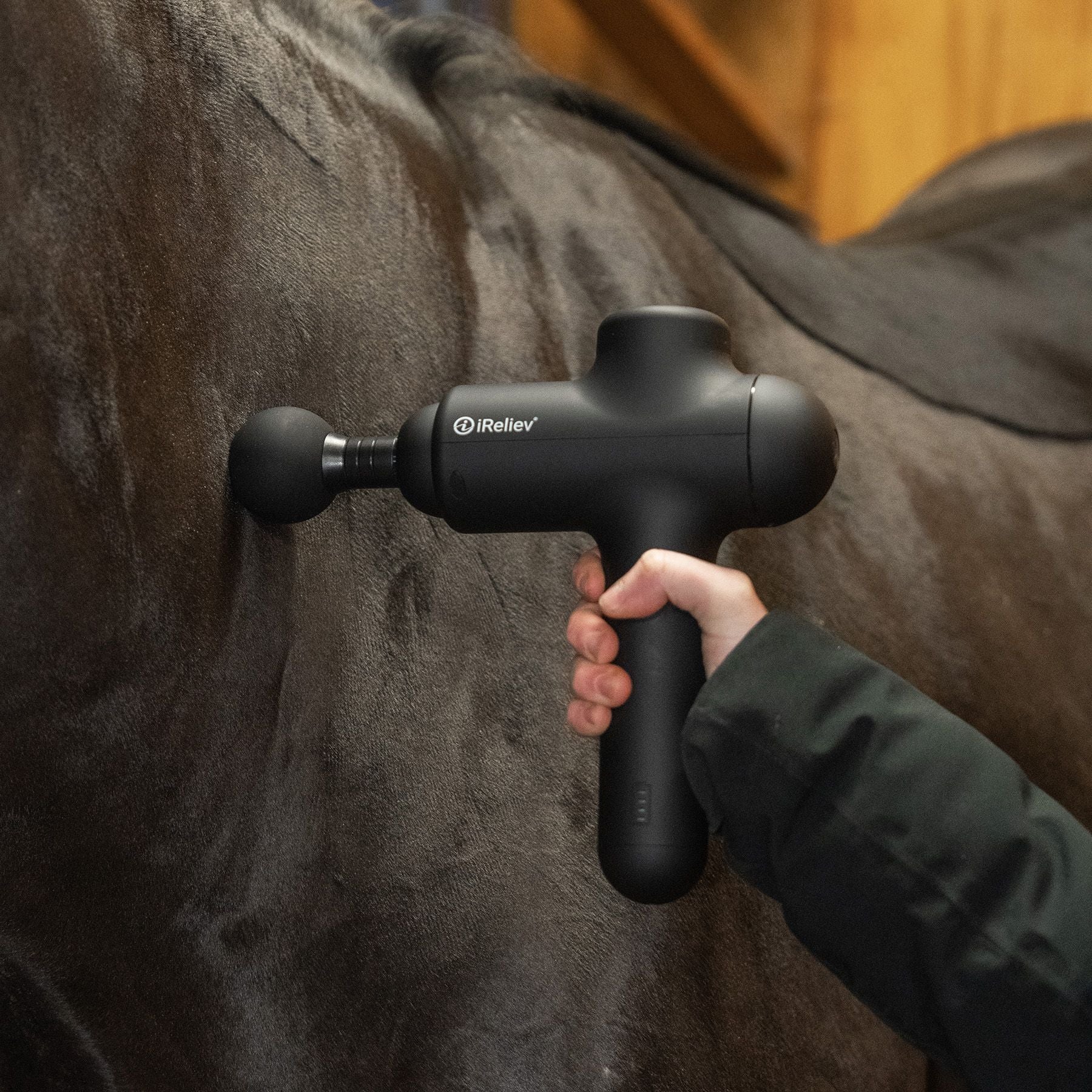 iReliev Percussion Massage Gun - Horse and Rider