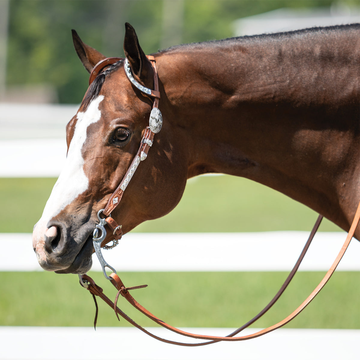 Billy Royal® Double Diamond Two Ear Silver Show Headstall II