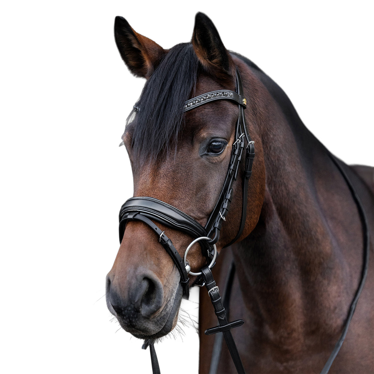 Waldhausen S-Line Patent Bridle Blackshine with Crystal Browband