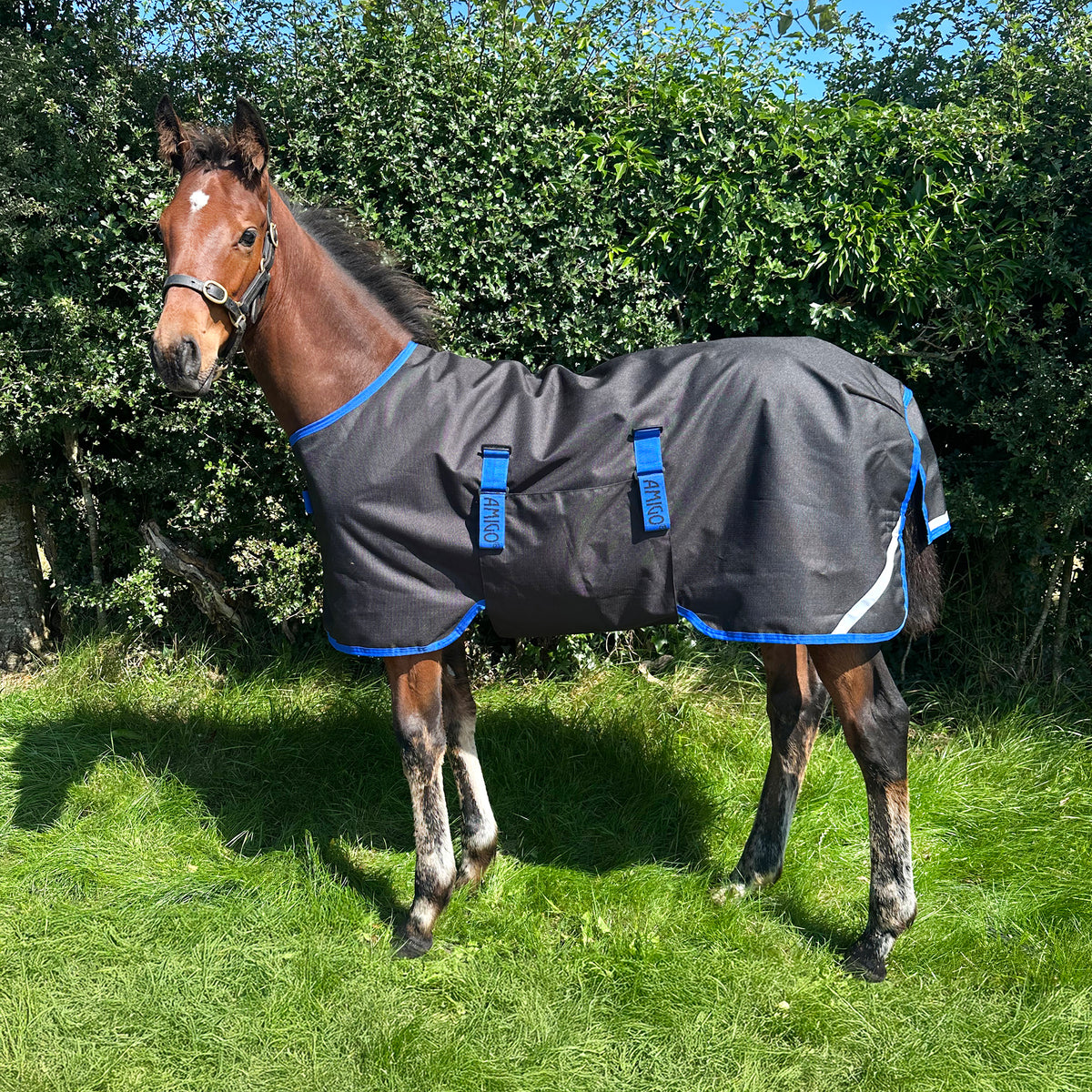 Horseware® Amigo Ripstop 900D Medium Weight Foal Turnout Blanket - 200g