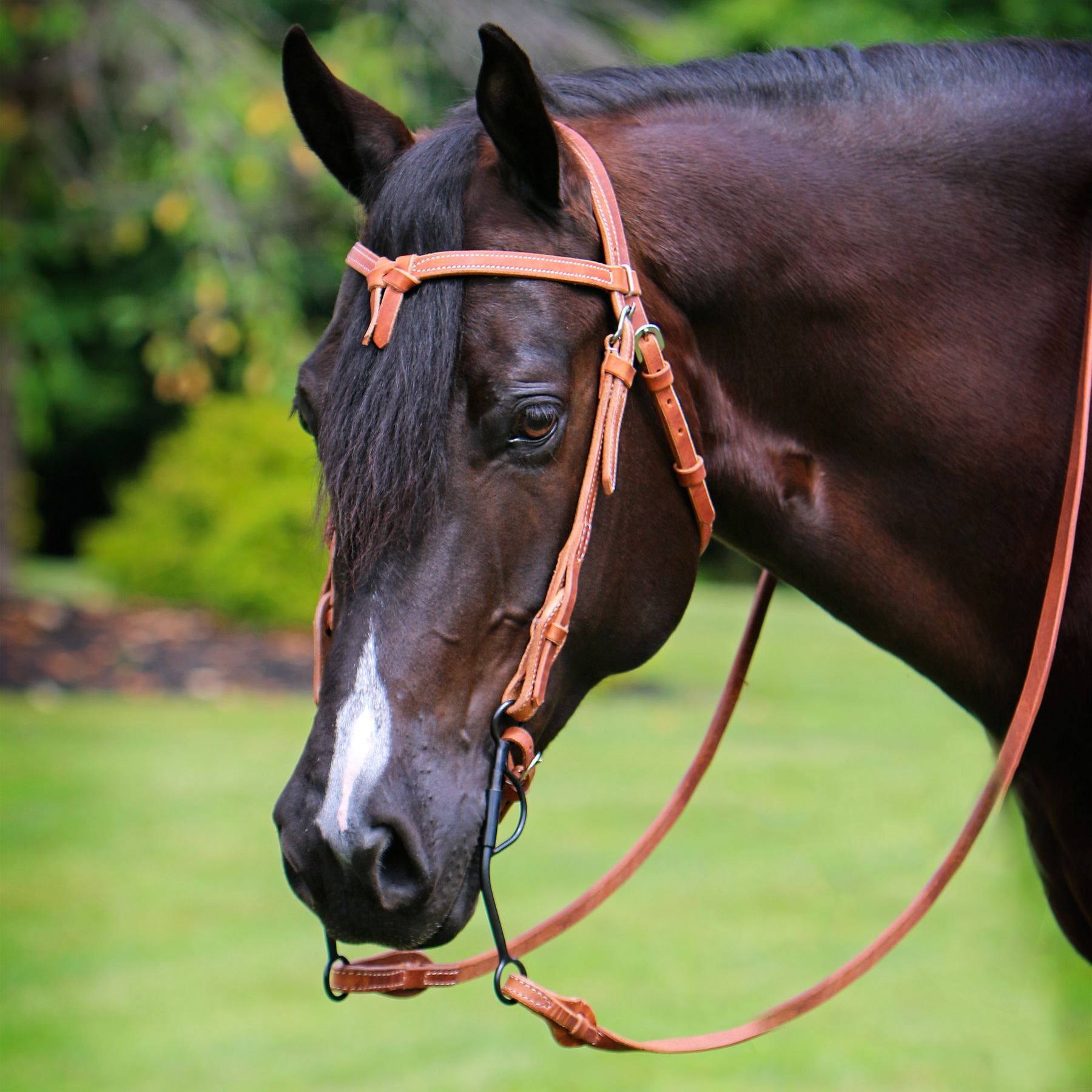 PDP overlay image for 21049