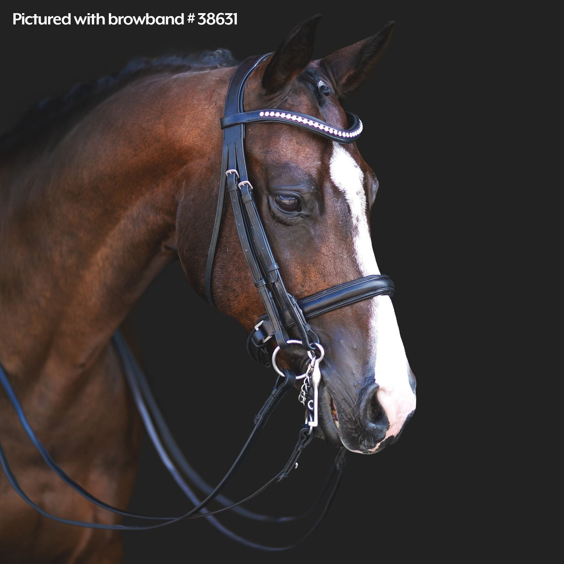PDP overlay image for 31822