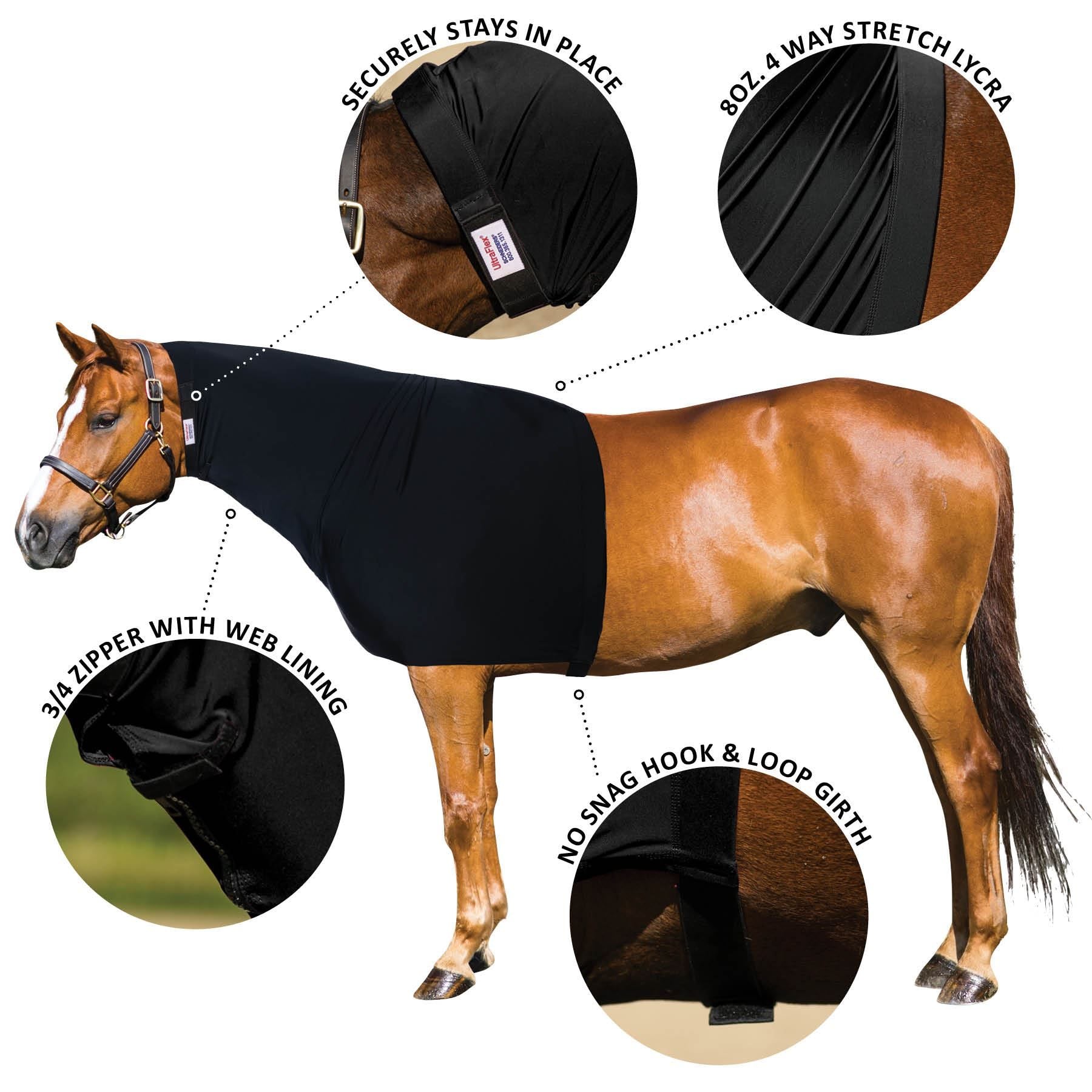 PDP overlay image for 42101