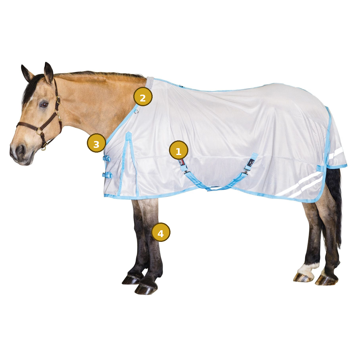 The Fly Sheet That Actually Cools Your Horse