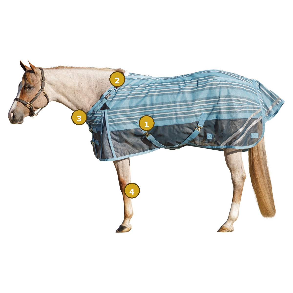 Heavy-Duty Mesh for Horses That Destroy Everything Else