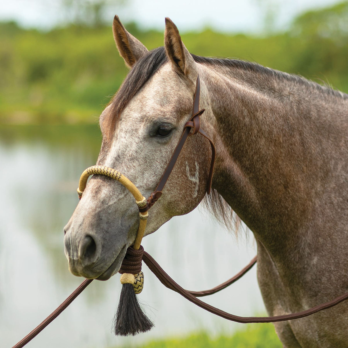 Double S Bosal Hanger With Bosal Schneiders Saddlery double-s-bosal-hanger-with-bosal-schneiders-saddlery